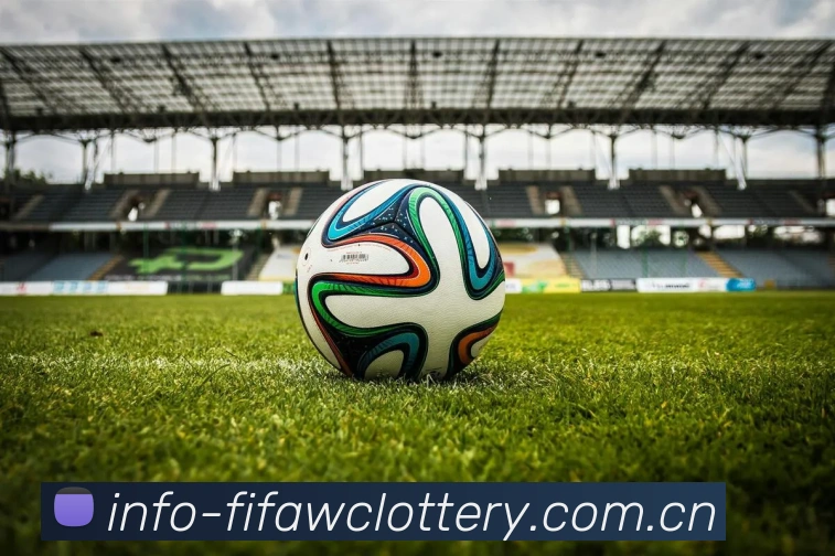 FIFA官方数据授权认证